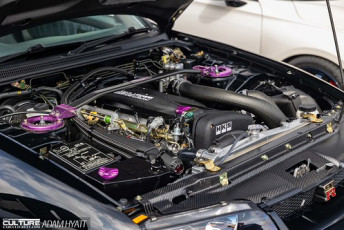 Rays Tribute 2024_Adam_Hyatt_Photography-2375