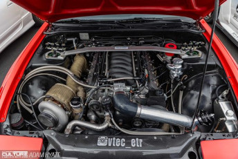 Rays Tribute 2024_Adam_Hyatt_Photography-2218