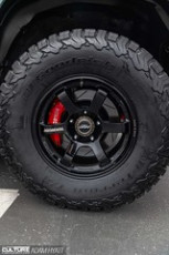 Rays Tribute 2024_Adam_Hyatt_Photography-2164