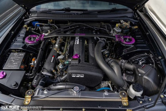 Rays Tribute 2024_Adam_Hyatt_Photography-2376