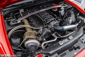 Rays Tribute 2024_Adam_Hyatt_Photography-2219