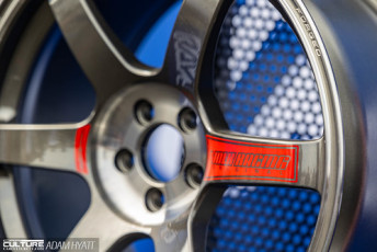 Rays Tribute 2024_Adam_Hyatt_Photography-2346