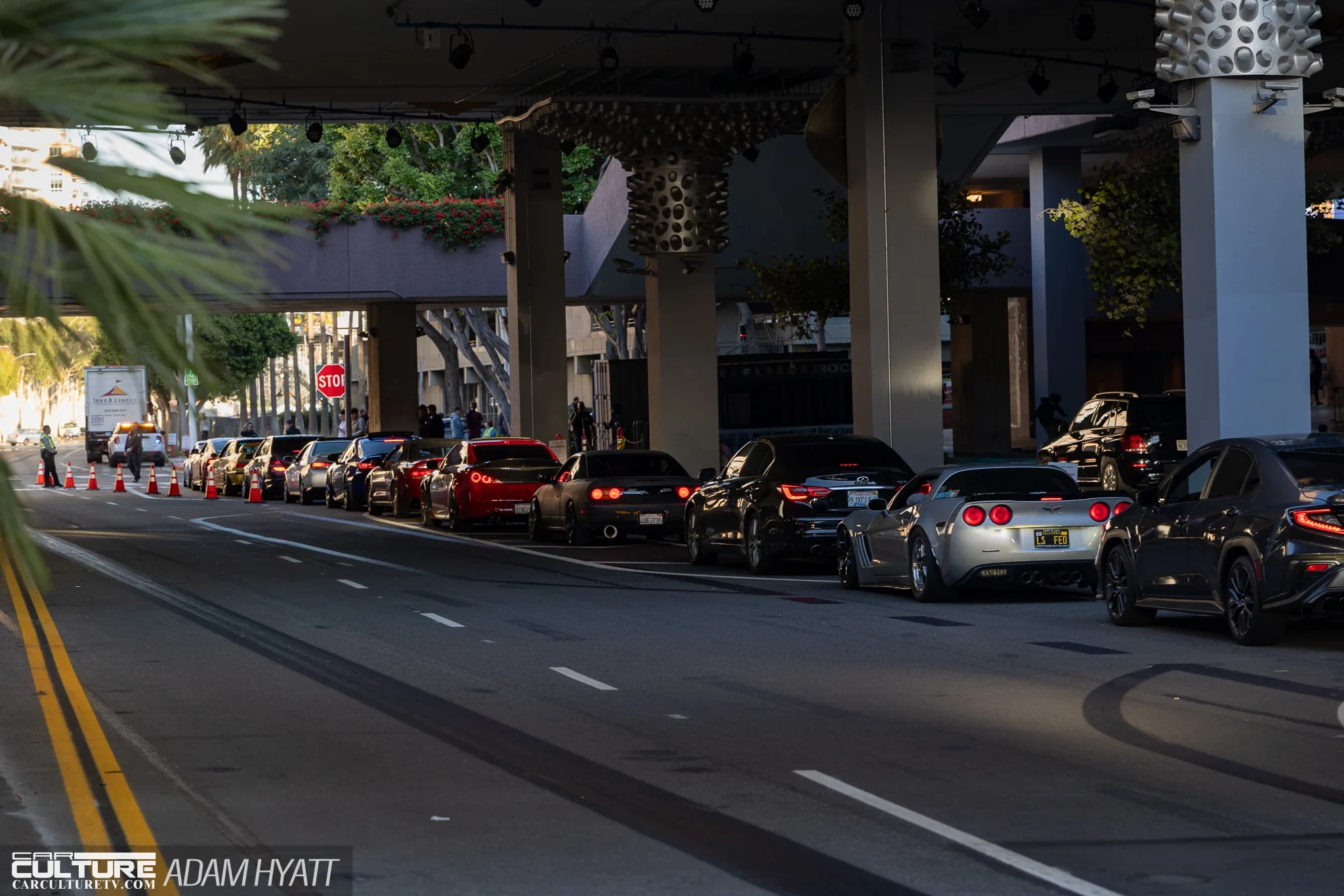 Cars lined up for TypeS Auto Night Lights